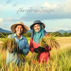 เกี่ยวข้าวหน้าหนาว