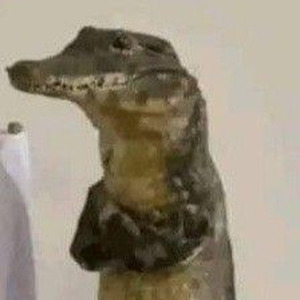 suki suki daisuki (Speed up)