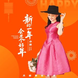 新的一年会是个好年