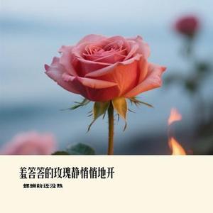 羞答答的玫瑰静悄悄地开 (Cover 橘子妹)