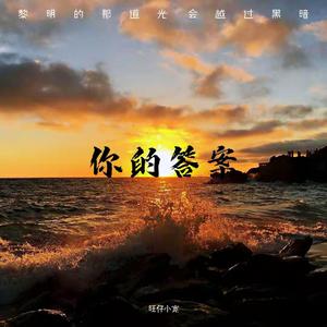 你的答案(高度还原)