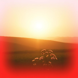 輝く希望の彼方へ