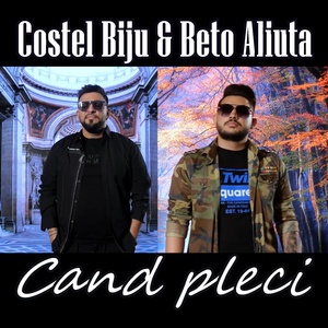 Cand pleci