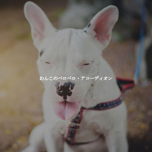 Quiet Son Montuno Trumpet - Vibe for Latte Dreams