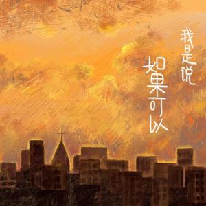 我是说如果可以