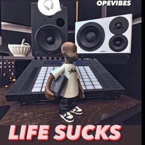 LIFE SUCKS (2024)