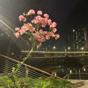 你就像风又像雨