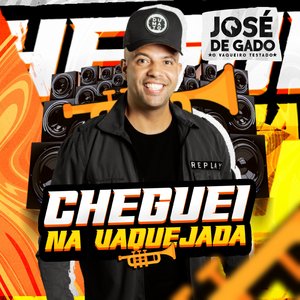 Cheguei na Vaquejada