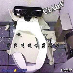 亲爱的我把厕所炸了