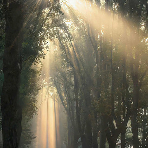 下载您的文件 — Convertio