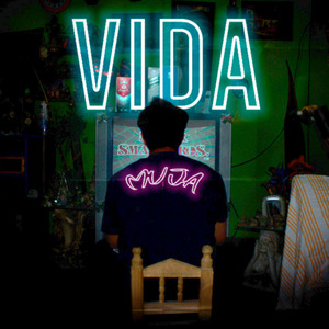 Vida