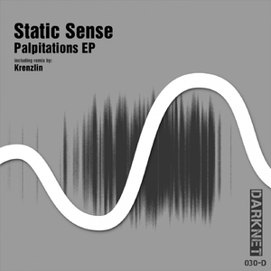 Palpitations (Original Mix)