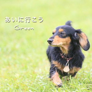 あいに行こう