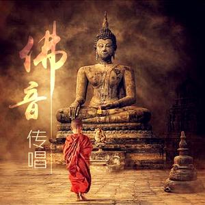 回头是岸（Cover 黑龙）