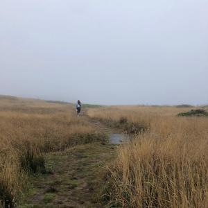 like im missing someone