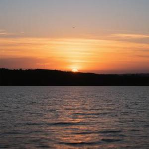 忘情忘爱 (Cover 张信哲)