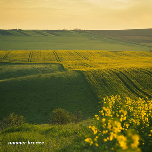 summer breeze