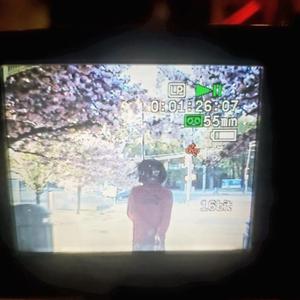 Push Start (feat. Ryugavii)