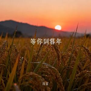 等你到暮年