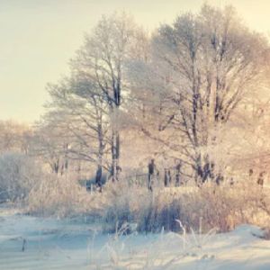 鸡毛蒜皮的小事