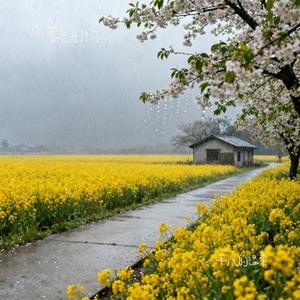 平凡的温柔