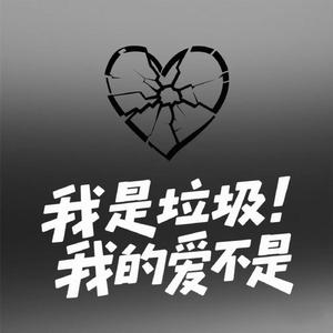 我是垃圾 我的爱不是