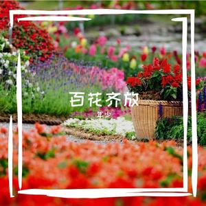 菊花黄彤彤