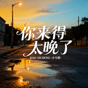 你来得太晚了（原版）