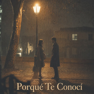 Porqué Te Conocí