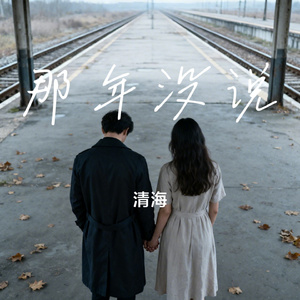 那年没说