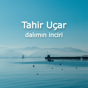 Dalımın İnciri