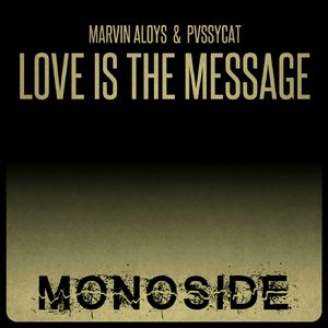 Love Is The Message (Radio Edit)