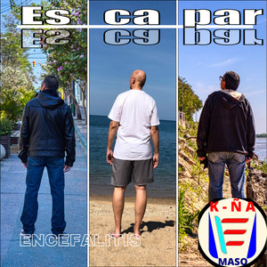 Encefalitis