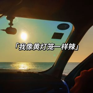 我像黄灯笼一样辣（Prod by.H27beatz）