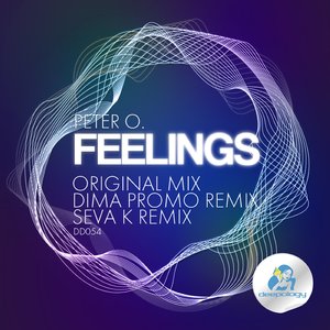 Feelings (Seva K Remix)