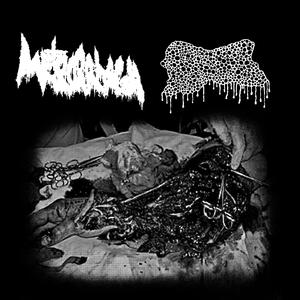 Inhumane Feasting of Rotting Entrails (feat. Metrorrhagia)