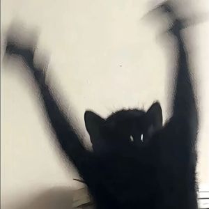 Dreams of the unknown