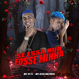 Se essa rua fosse minha