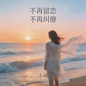 不再留恋不再纠缠