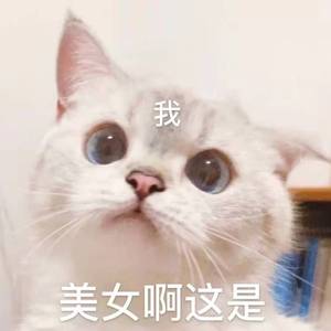 晚夜微雨问海棠（翻自 傲七爷）