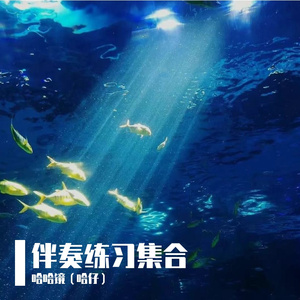 阳光下的海
