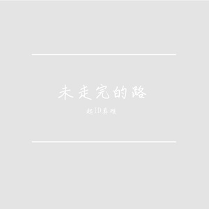 半程