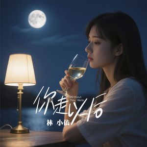你走以后