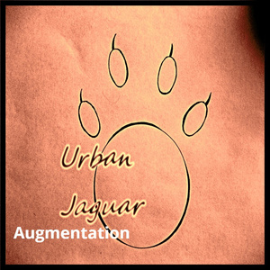 Augmentation