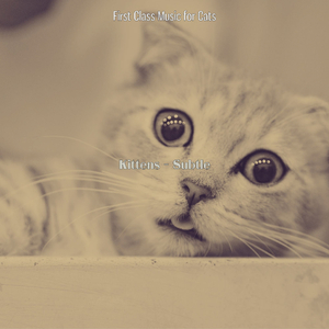 Subtle (Cute Kittens)