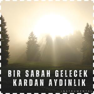 Bir Sabah Gelecek Kardan Aydınlık (cover)