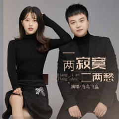 一两寂寞二两愁 (DJ默涵版)