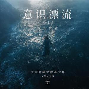 意识漂流Vol5沉入梦境一6
