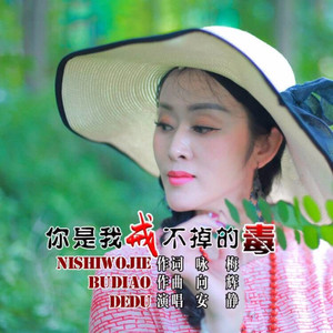 你是我戒不掉的毒 (女声版)