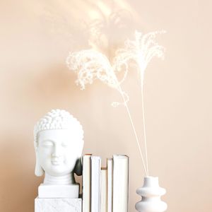 抚慰的经典书籍回忆